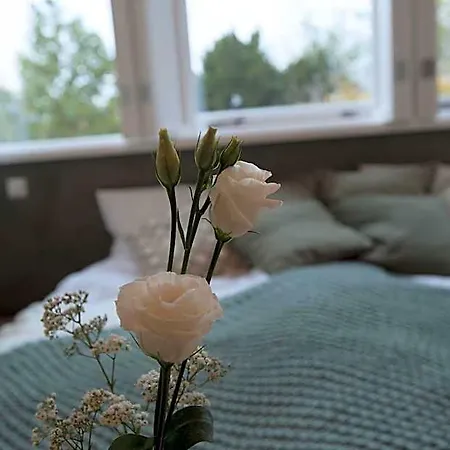 Boutique Heidetuin 4* Bergen op Zoom