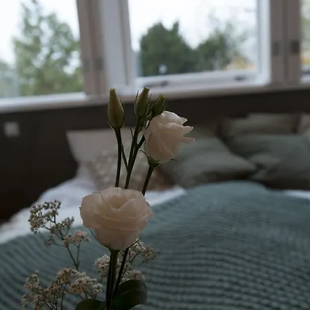 Boutique Heidetuin 2* 贝亨奥普佐姆
